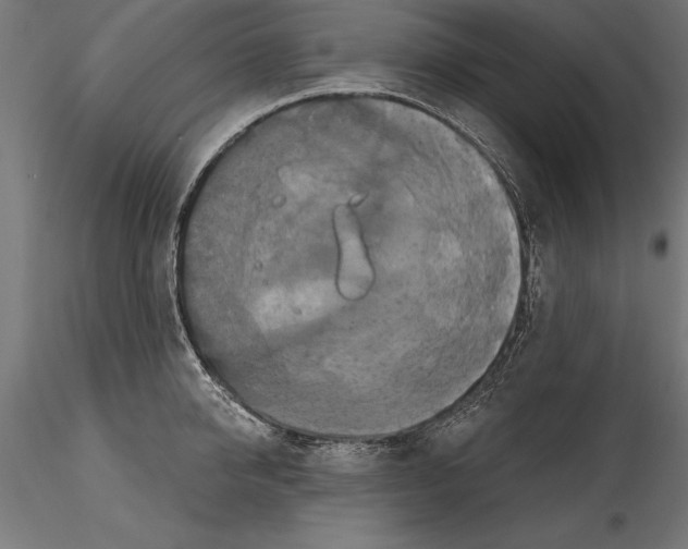 X0000114580950200911301331