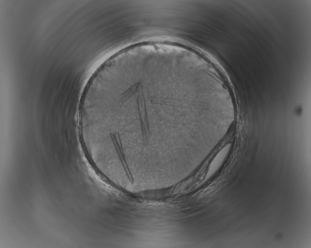 X0000114580951200911301331