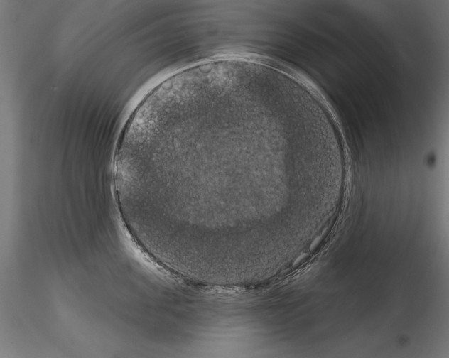 X0000114580955200911301331