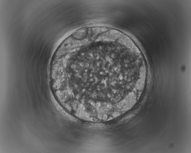 X0000114580957200911301331