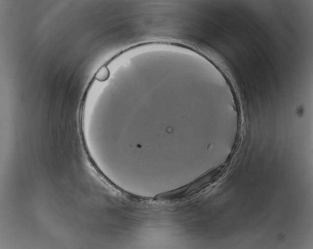 X0000114580958200911301331