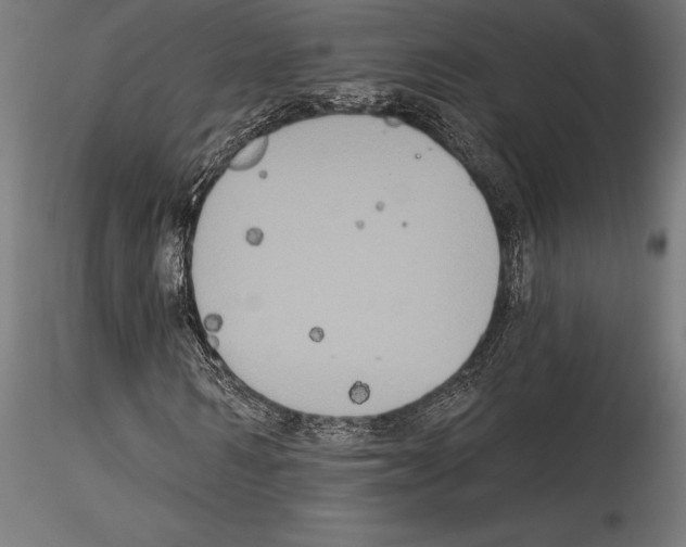 X0000114580962200911301331