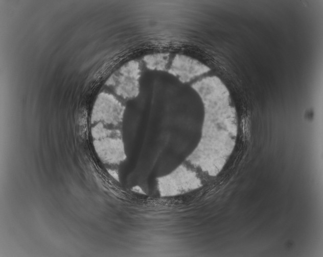 X0000114580963200911301331