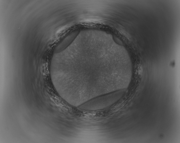 X0000114580965200911301331