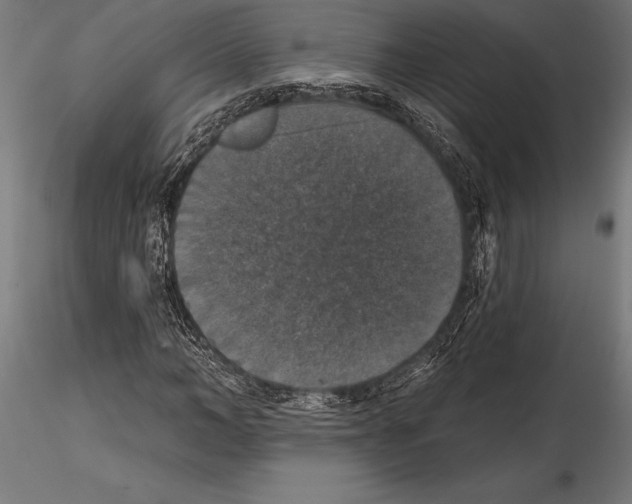 X0000114580966200911301331