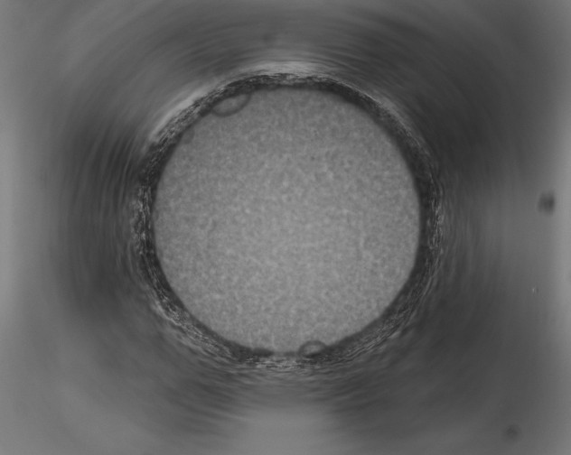 X0000114580967200911301331