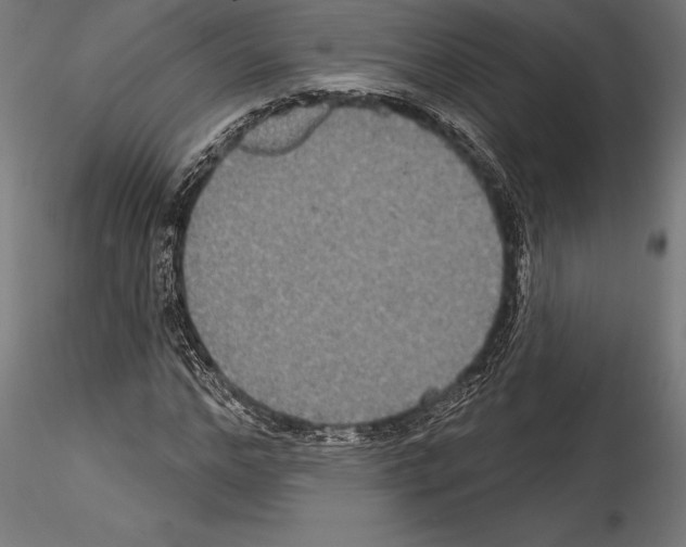 X0000114580968200911301331