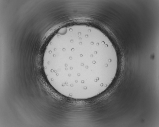 X0000114580970200911301331