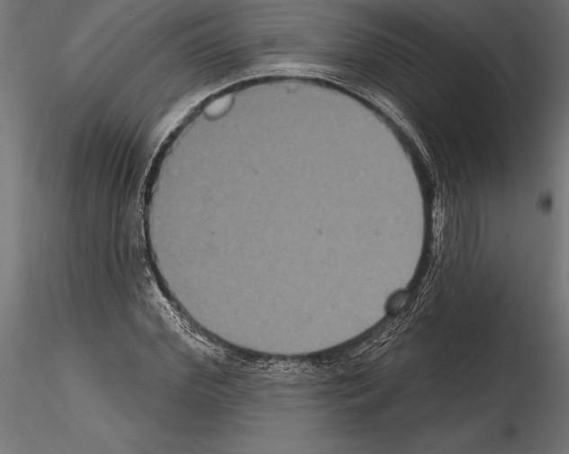 X0000114580972200911301331