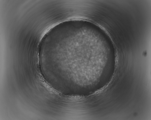 X0000114580973200911301331