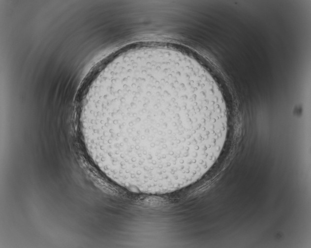 X0000114580974200911301331