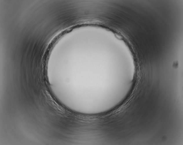 X0000114580975200911301331