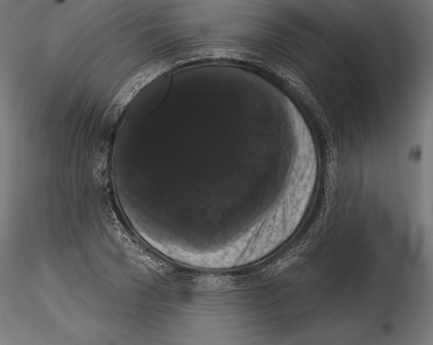 X0000114580977200911301331