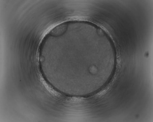 X0000114580981200911301331