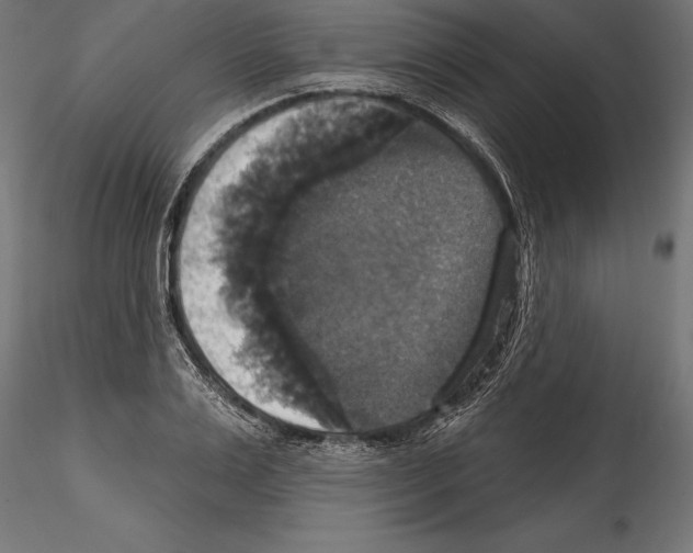 X0000114580983200911301331