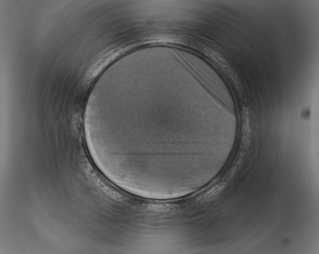 X0000114580985200911301330