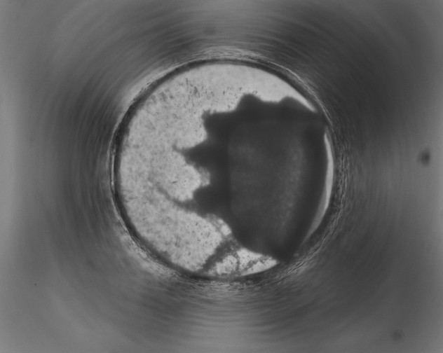 X0000114580987200911301330