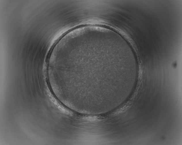 X0000114580990200911301330