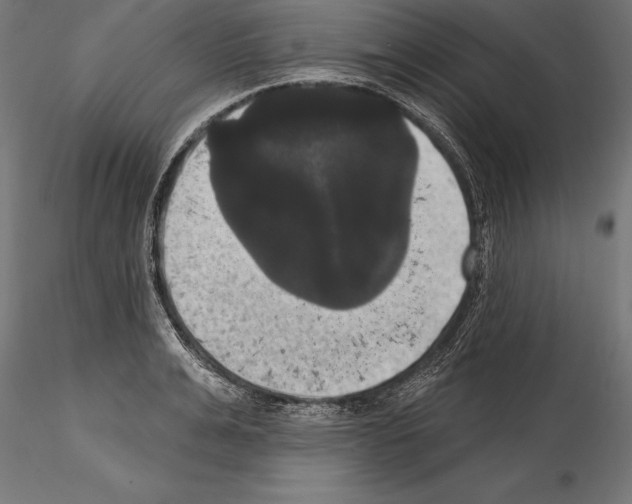 X0000114580991200911301330