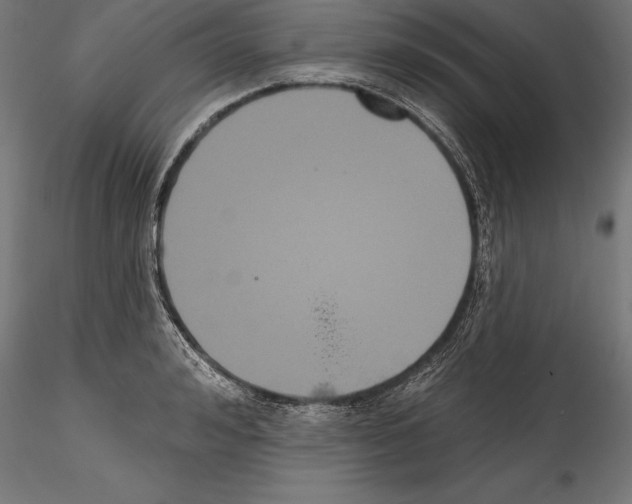 X0000114580992200911301330