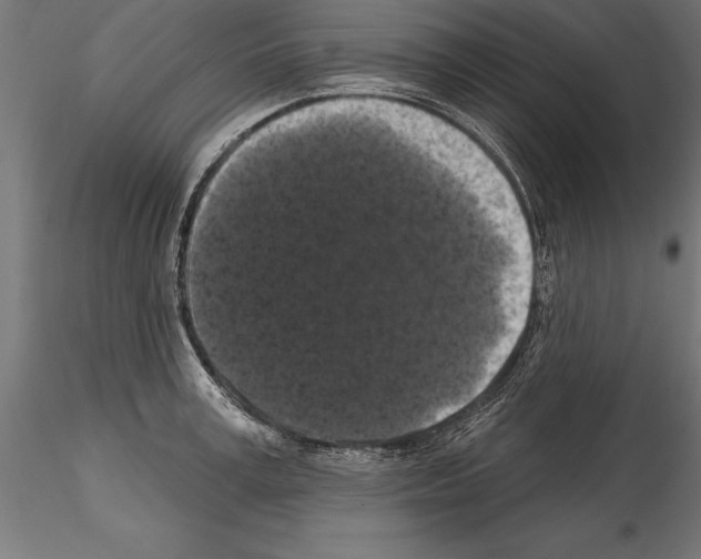 X0000114580995200911301330