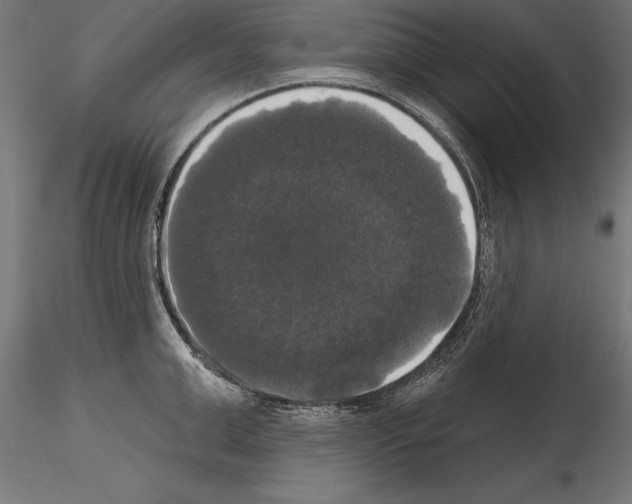 X0000114580999200911301330