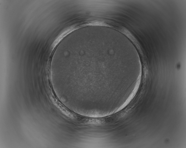 X0000114581002200911301330