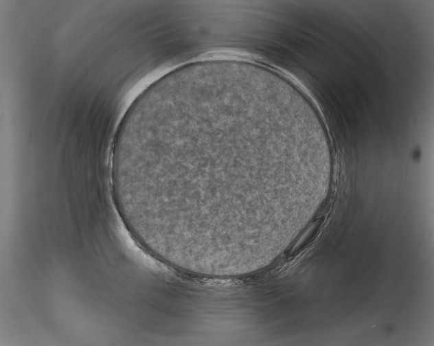 X0000114581003200911301330