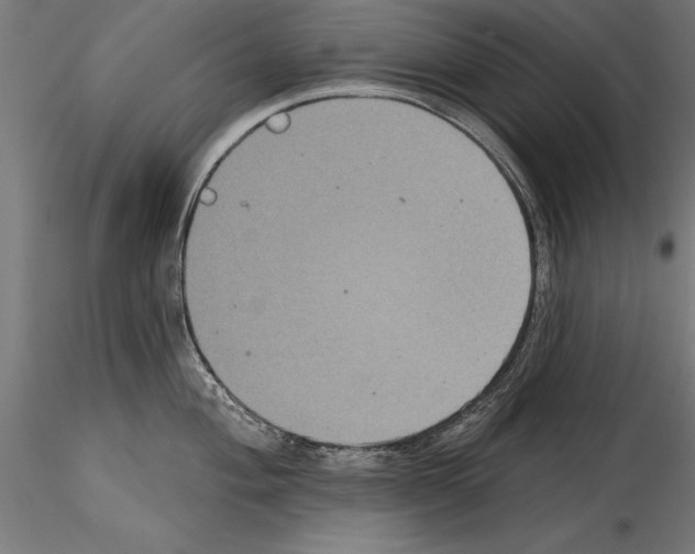 X0000114581004200911301330