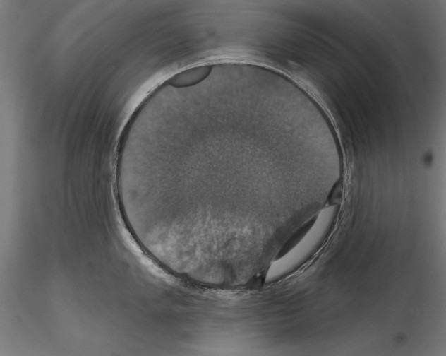 X0000114581005200911301330