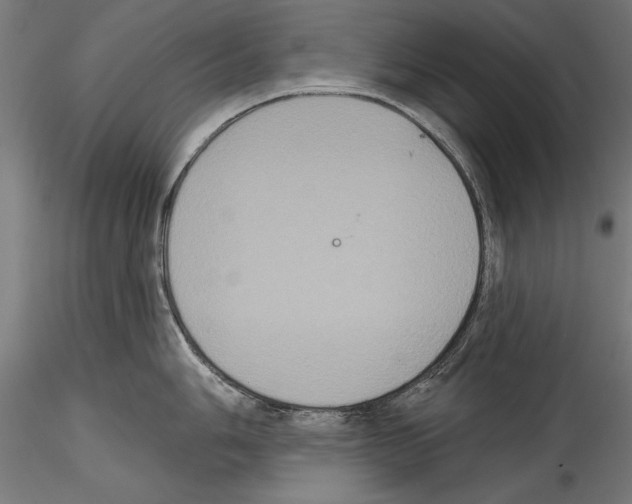 X0000114581006200911301330