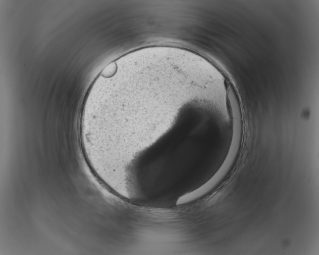 X0000114581007200911301330