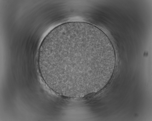 X0000114581008200911301330