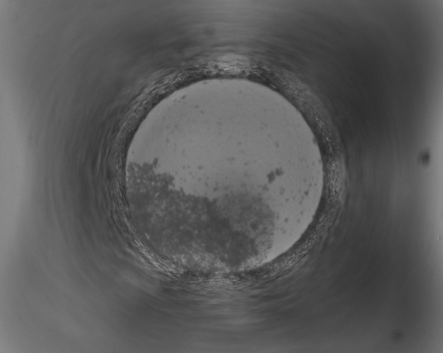 X0000114581009200911301330