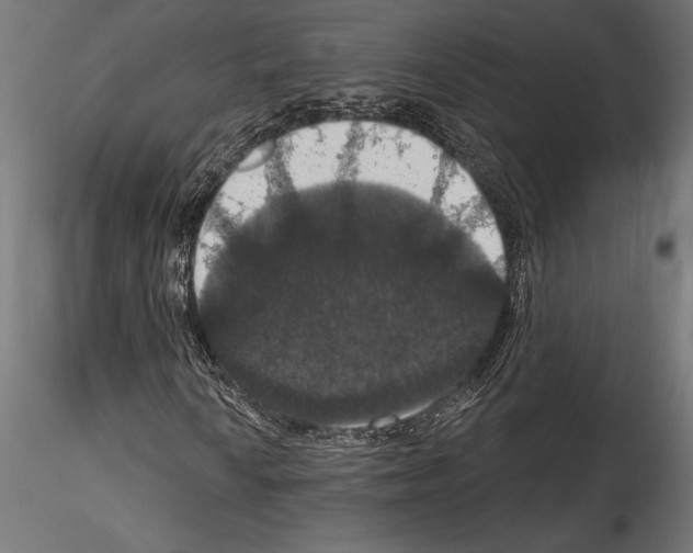 X0000114581010200911301330