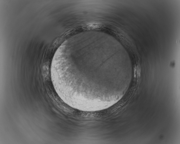 X0000114581011200911301330