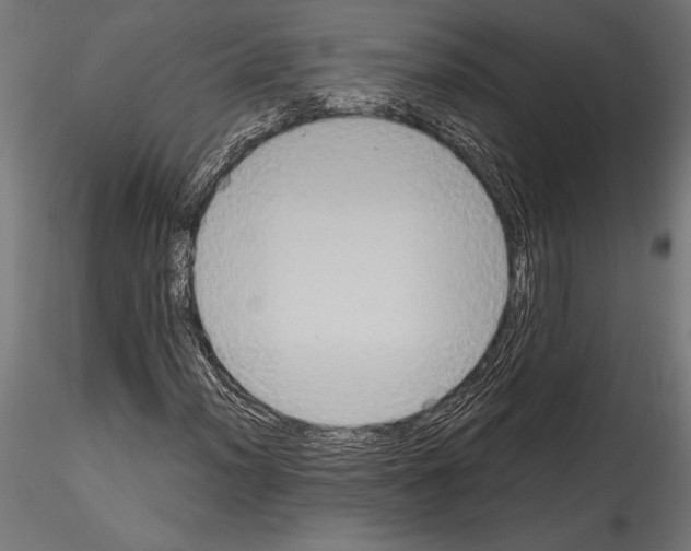 X0000114581012200911301330