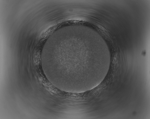 X0000114581014200911301330