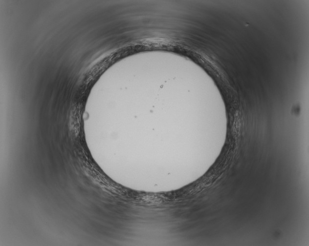 X0000114581015200911301330