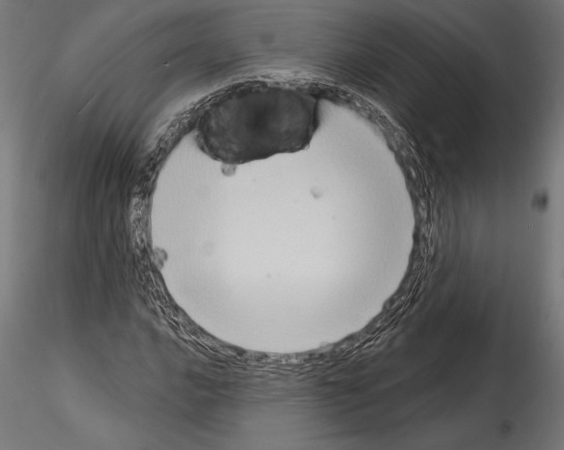 X0000114581016200911301330