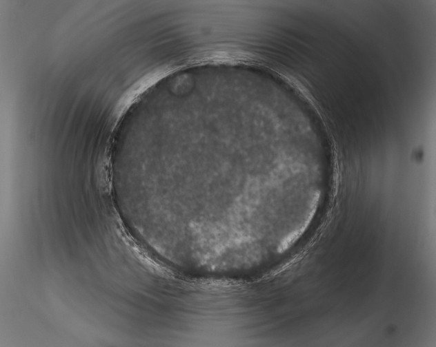 X0000114581018200911301330