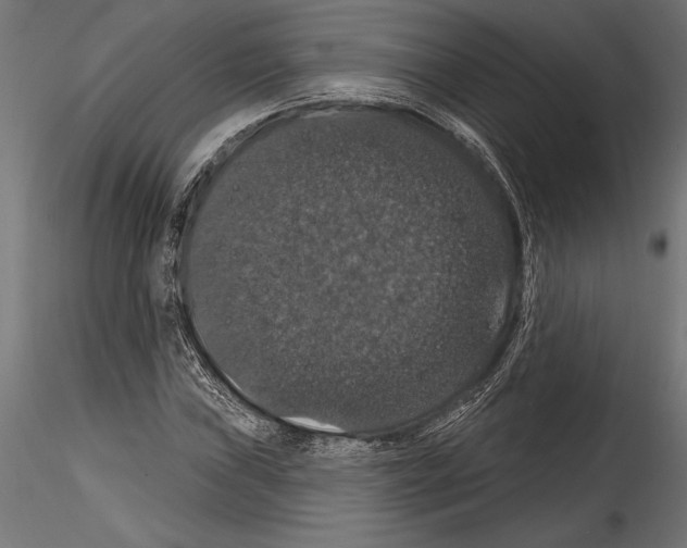 X0000114581019200911301330