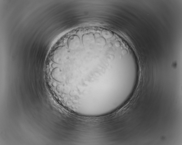 X0000114581020200911301330