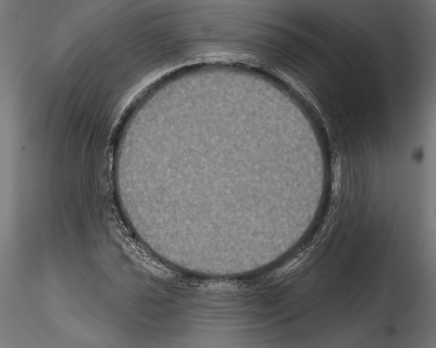 X0000114581021200911301330