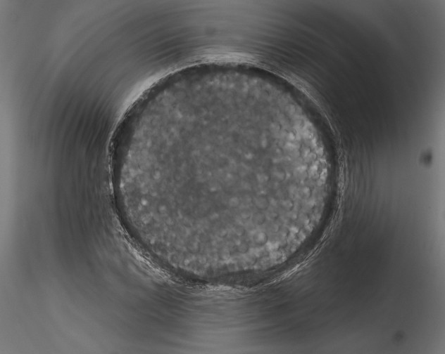 X0000114581022200911301330