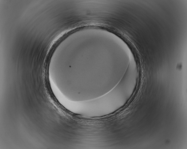 X0000114581024200911301330