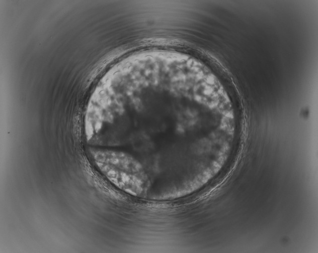 X0000114581025200911301330