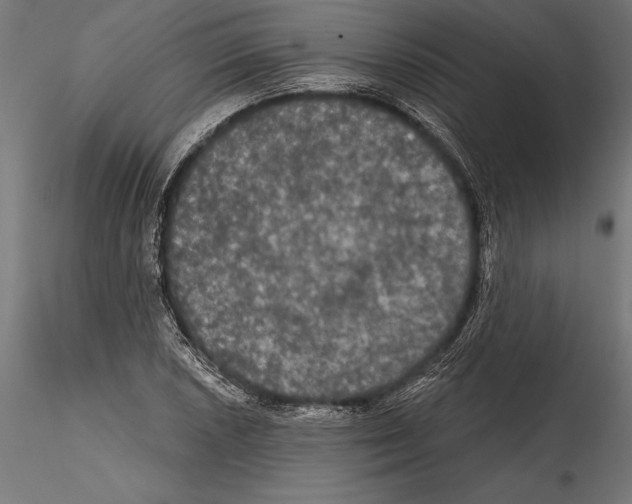 X0000114581026200911301330