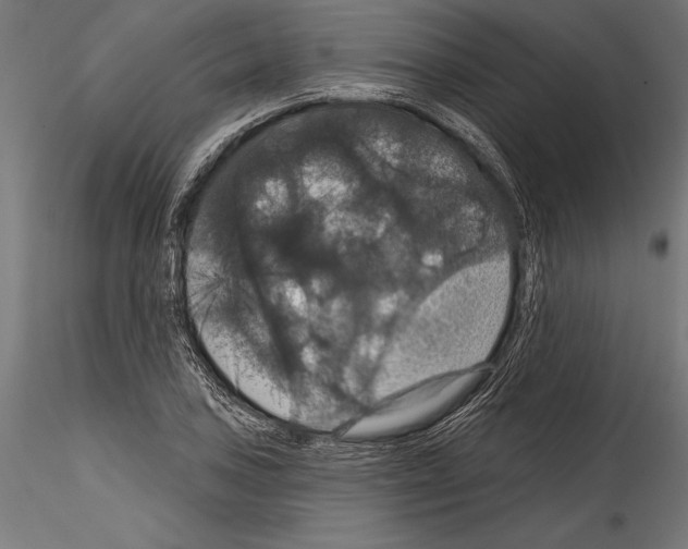 X0000114581027200911301330