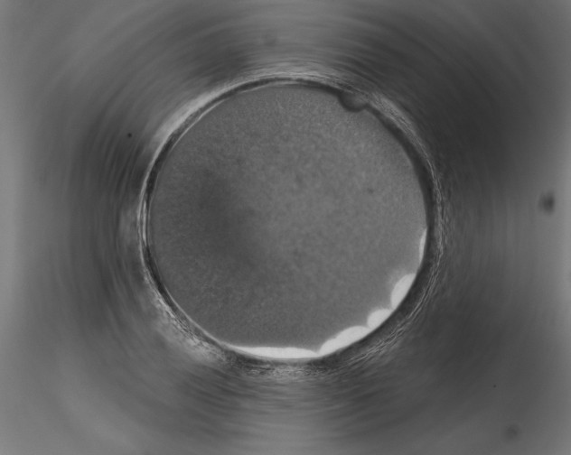 X0000114581028200911301330